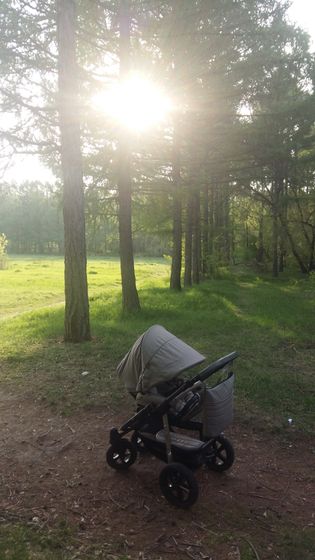 Гуляем!🙄🌲🌳🌸
