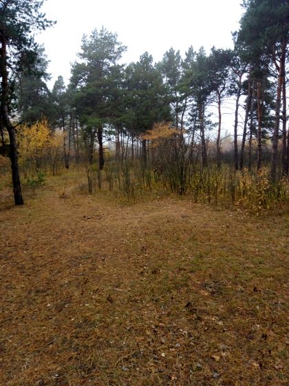 Беременяшек должна окружать красота...