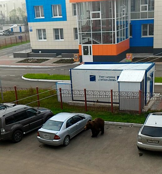 Просто так..поделюсь нашей природой