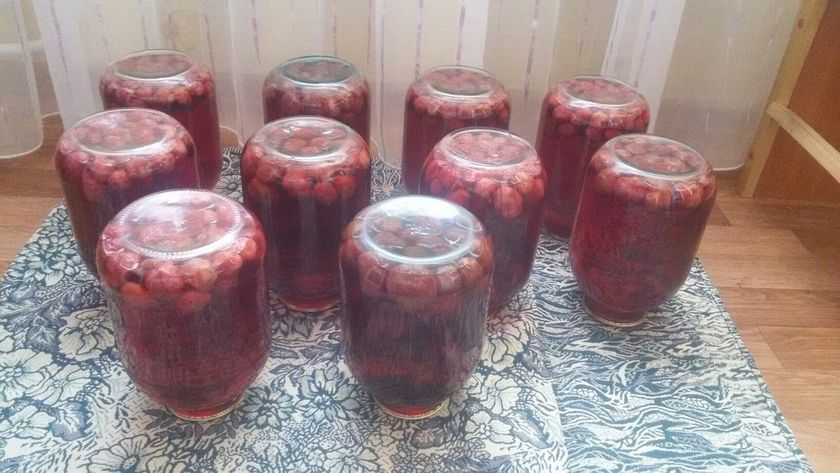 Сезон заготовок ОТКРЫТ))))