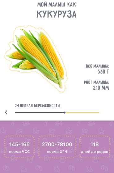 Перешли на 24 неделю .....