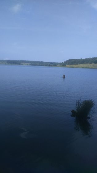 Частичка нашего лета.