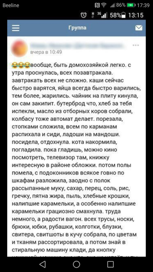 Жизнь современной домохозяйки
