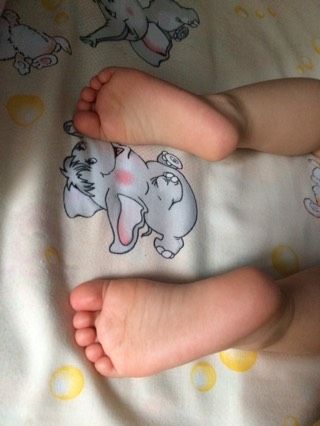 38 недель