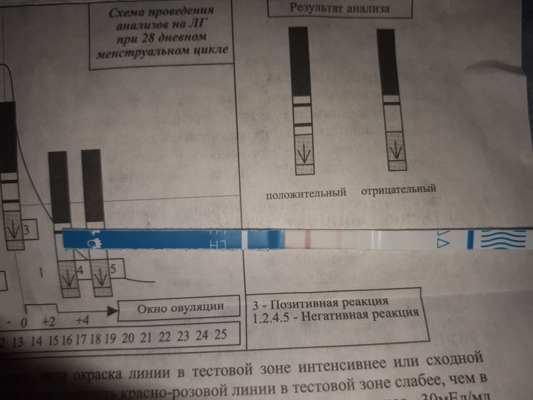 Тест 8 и 9 (сегодня) дц
