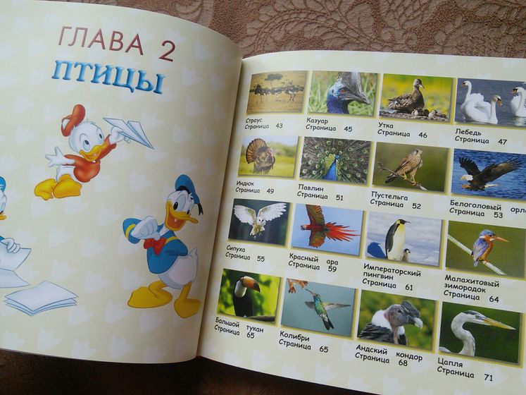 Наши новые энциклопедии