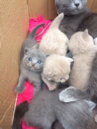 Сьогодні мені уже 20
