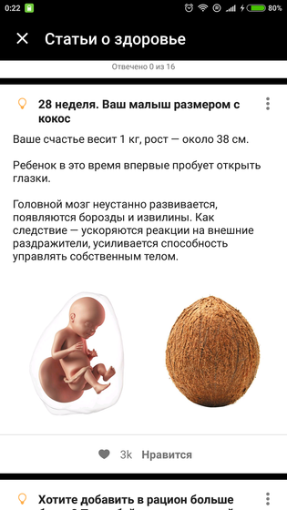 28 неделек