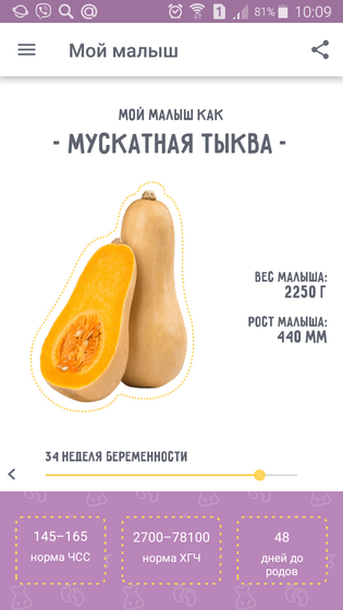 Это жесть, товарищи