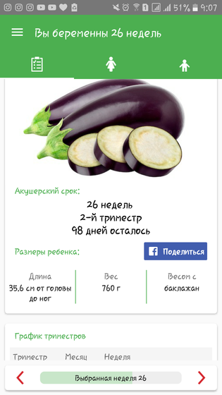 26 недель....