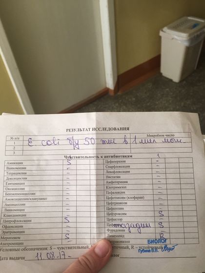 Кишечная палочка в моче!!!!!!!!!