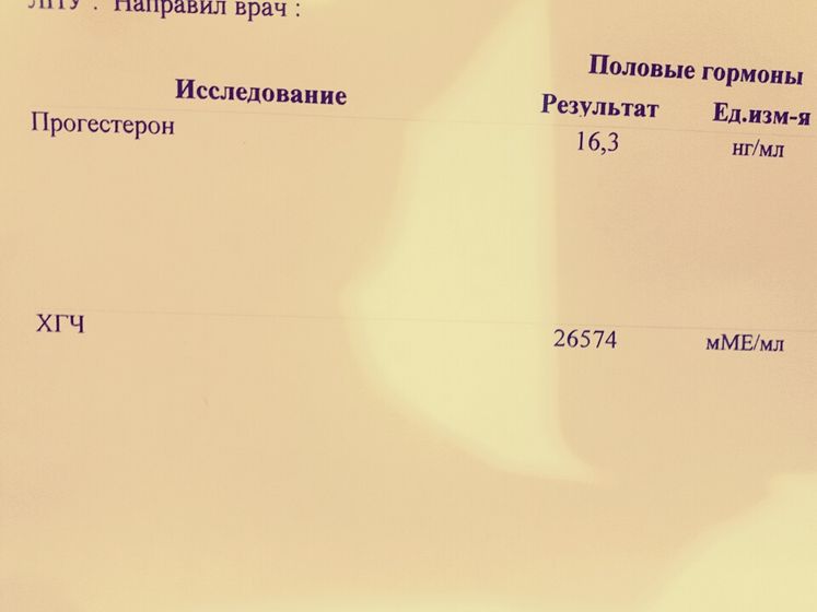 Результаты анализов