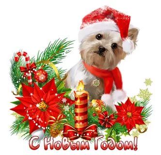 С Новым годом!!!