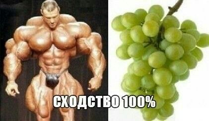 Картинки для смеха