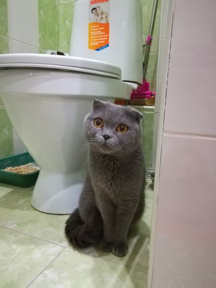 Забрали мы все таки
