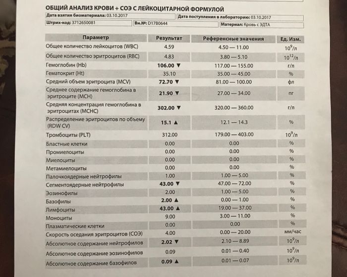 Общий анализ крови