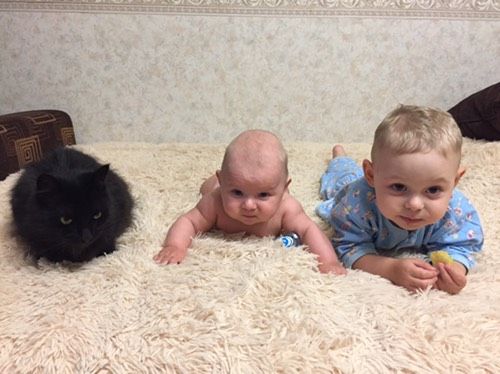 7 лет бок о бок с котом!
