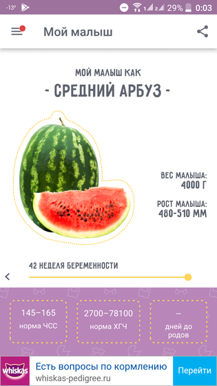 Тот момент, когда ты уже не боишься родов, боли