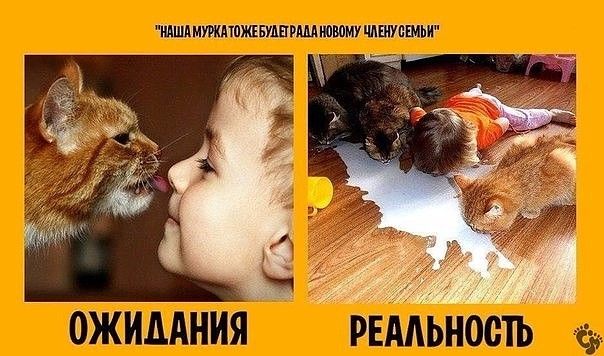 Всем хорошего настроения