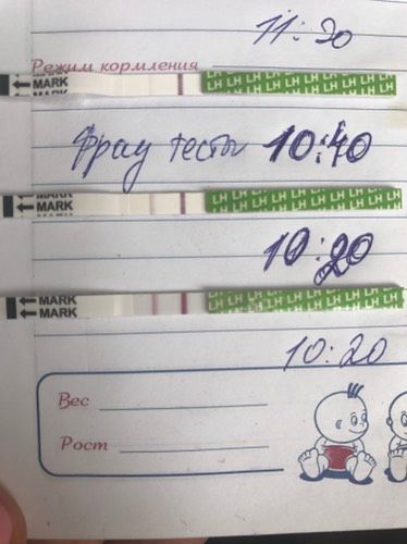 Тесты,овуляция