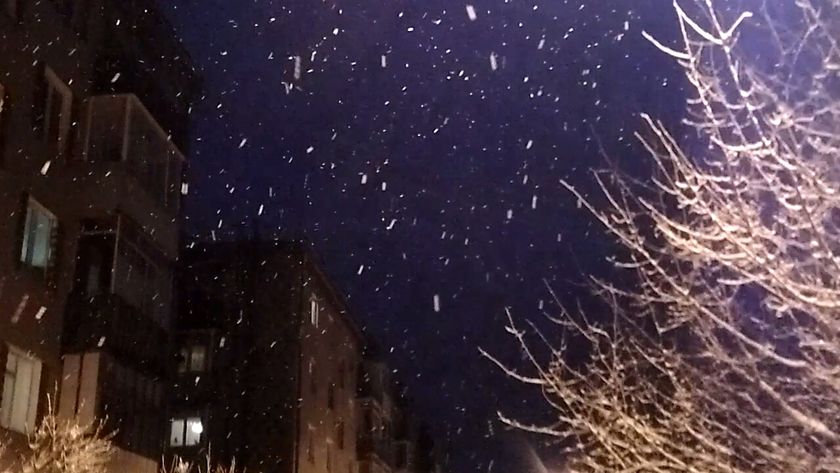 Снежная красота