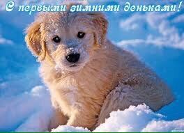 Ну что девочки новый этап
