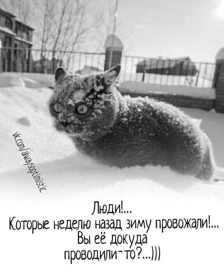 Весна говорите??