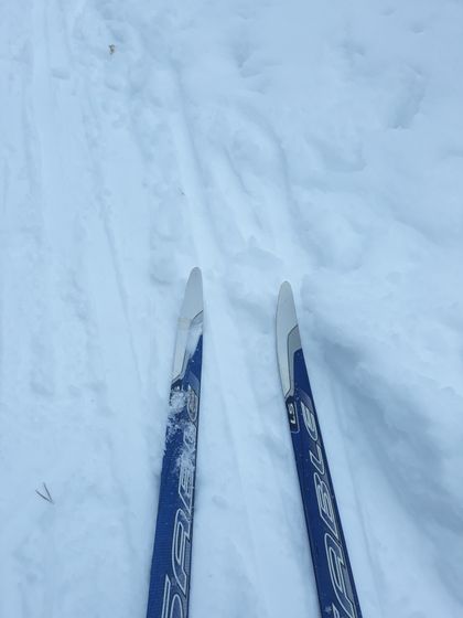 День седьмой. Эпилог. ❄❄❄
