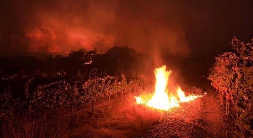 Калифорния в огне😔 🔥