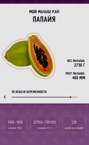 36 Неделя???9й Месяц?