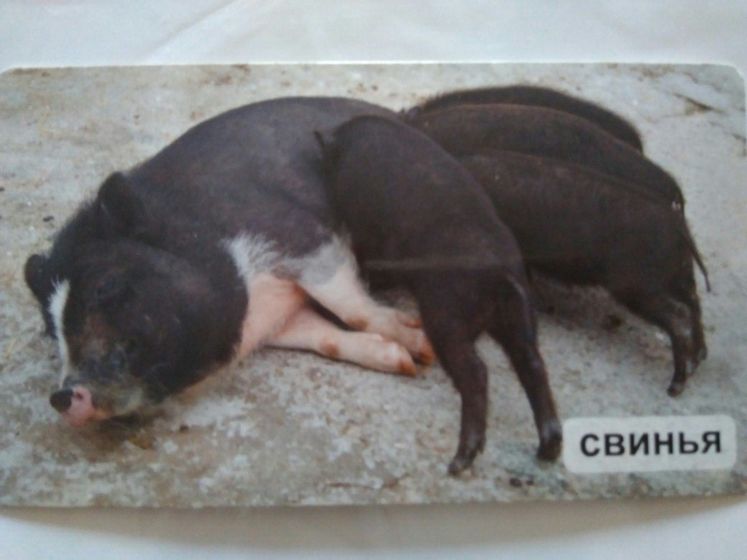 Продолжаем знакомиться с профессиями..