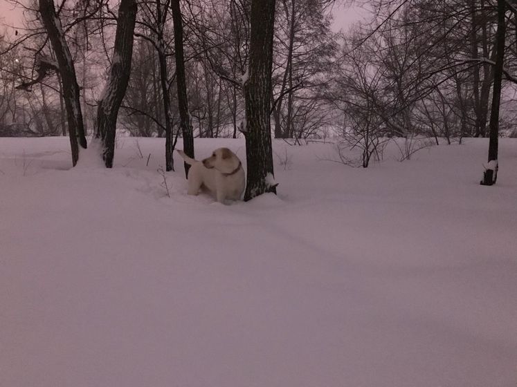 Немного 17 марта в ленту!