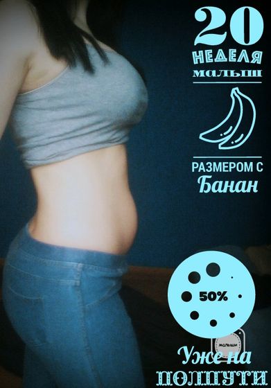 20 неделя)) Экватор )