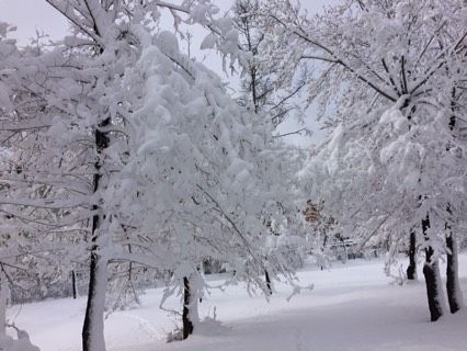 ❄️ 3 мая 2017