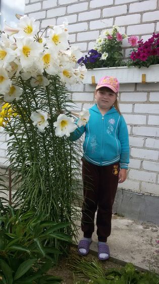 Давайте знакомиться))))