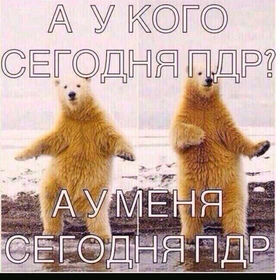 Столько времени ждала этой