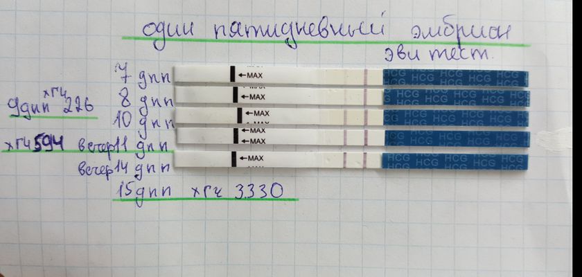 Мой 6-ой победный перенос.