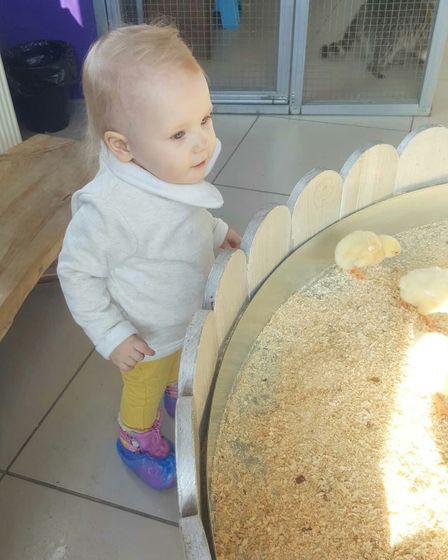 итоги длинных выходных