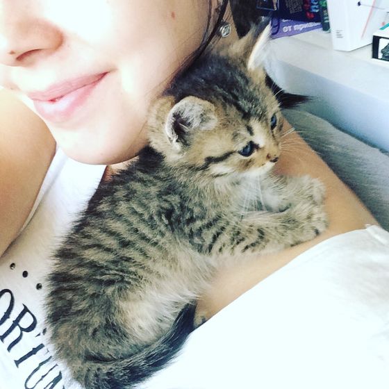 Оренбург!!! Котёнок в добрые руки!
