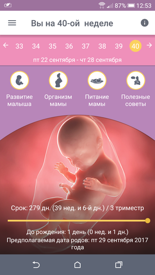 Пдр на 29.09