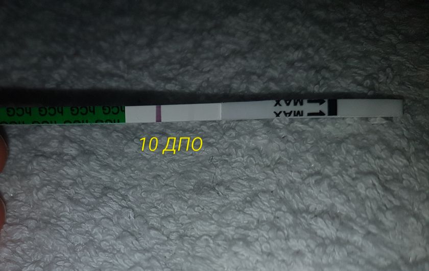 10 ДПО тест !