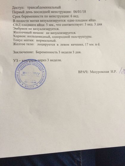 Первое УЗИ
