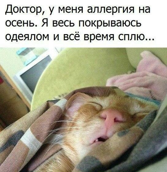 Сон