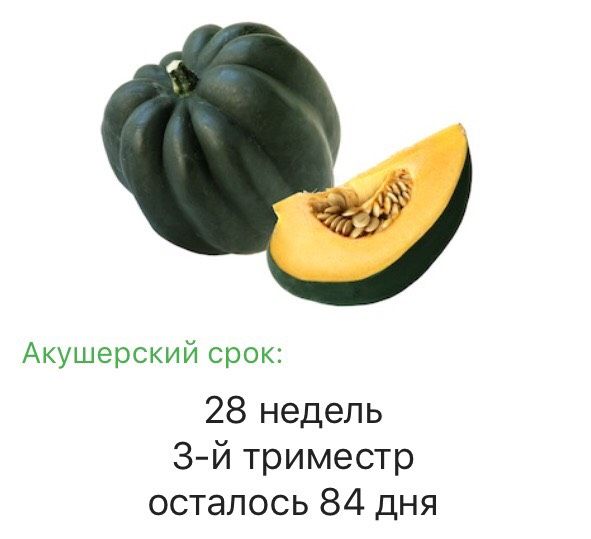 Здравствуй третий триместр??