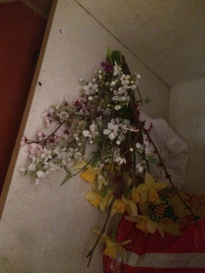 Сын спрятал для меня цветы