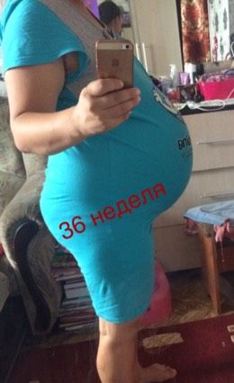36,4 недели