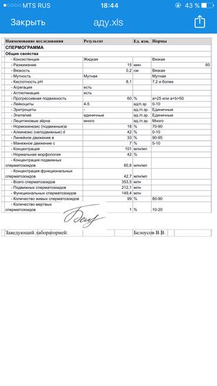 Спермаграмма