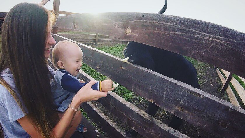 Сегодня нам 1️⃣ год ?