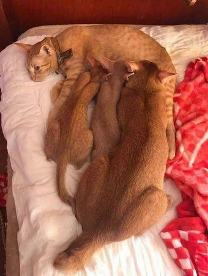 ?