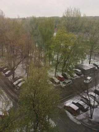 8 мая 2017 Москва